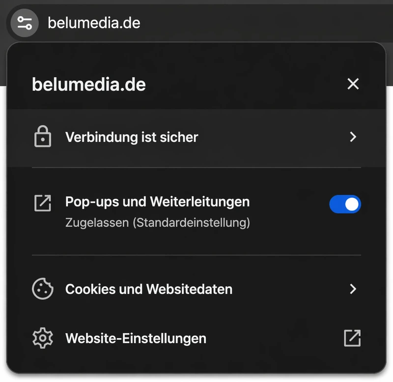 Browser mit SSL-Zertifikat, Verbindung ist sicher
